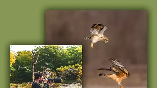 Image: Alexander Harris, Nature Photographer - Documenting the world around him