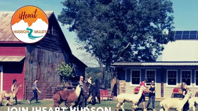 Image: Alpaca Walk & Photo Shoot At Clover Brooke Farm
