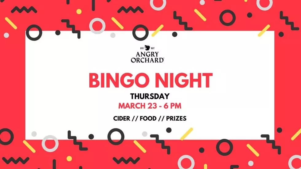 bingo-night.webp