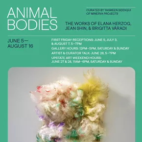 Image: "Animal Bodies"