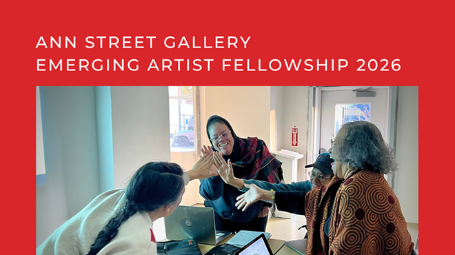 Image: Ann Street Gallery Emerging Artist Fellowship Virtual Info Session