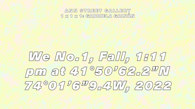 Ann Street Gallery Presents December’s 1x1x1 exhibition: Gabriela Galván,  We No.1, Fall, 1:11 pm at 41°50’62.2”N 74°01’6”9.4W, 2022