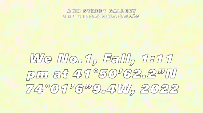 Image: Ann Street Gallery Presents December&rsquo;s 1x1x1 exhibition: Gabriela Galv&aacute;n, We No.1, Fall, 1:11 pm at 41&deg;50&rsquo;62.2&rdquo;N 74&deg;01&rsquo;6&rdquo;9.4W, 2022