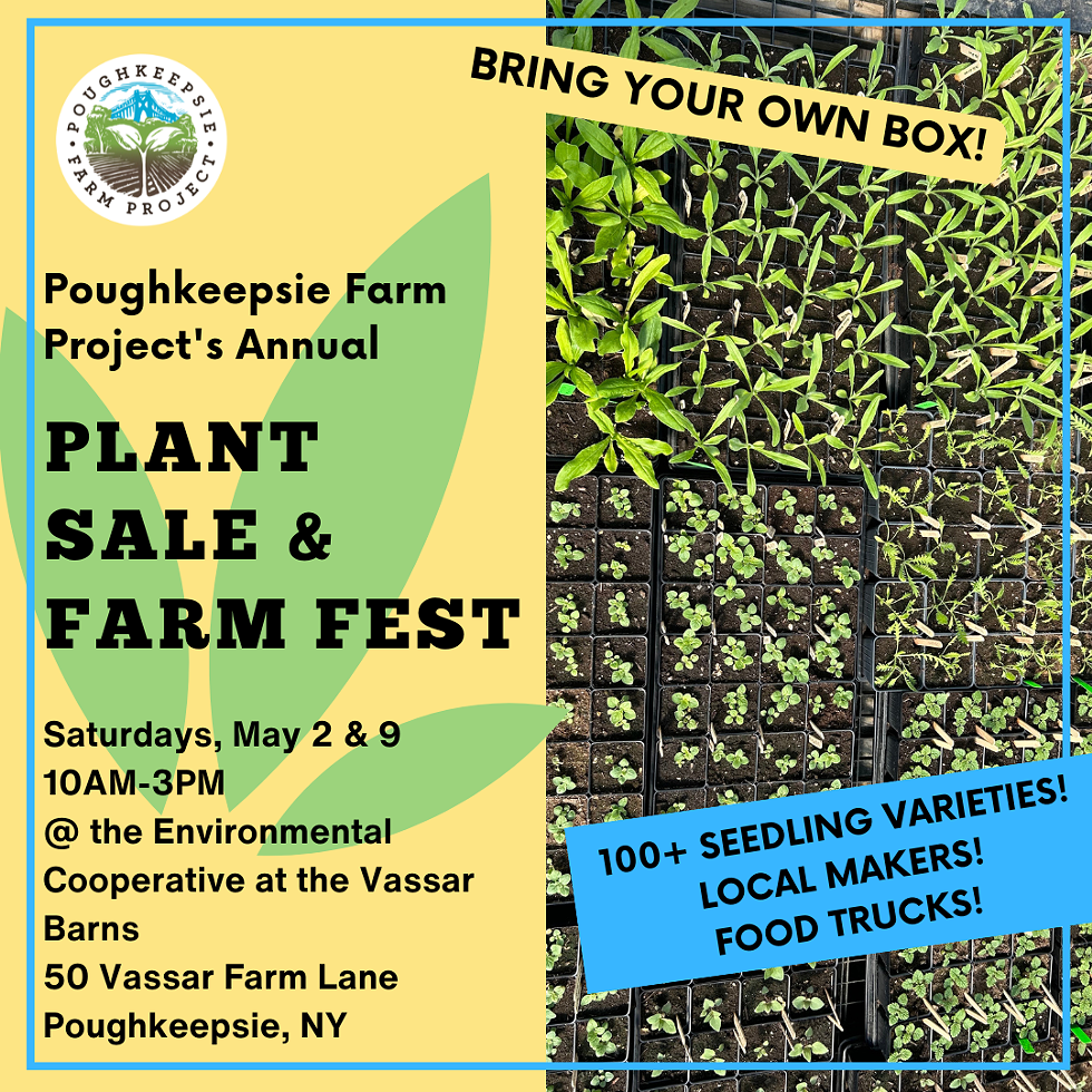 Plant sale flier