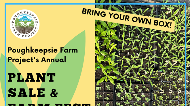 Image: Annual Plant Sale