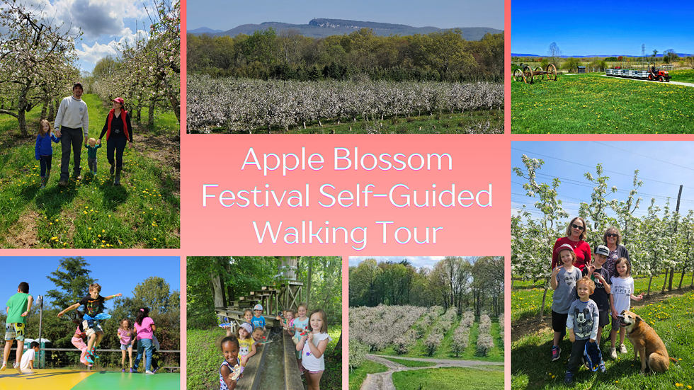 Apple Blossom Festival Self-Guided Walking Tour Experience May 2nd & May 3rd from 10am to 4pm.