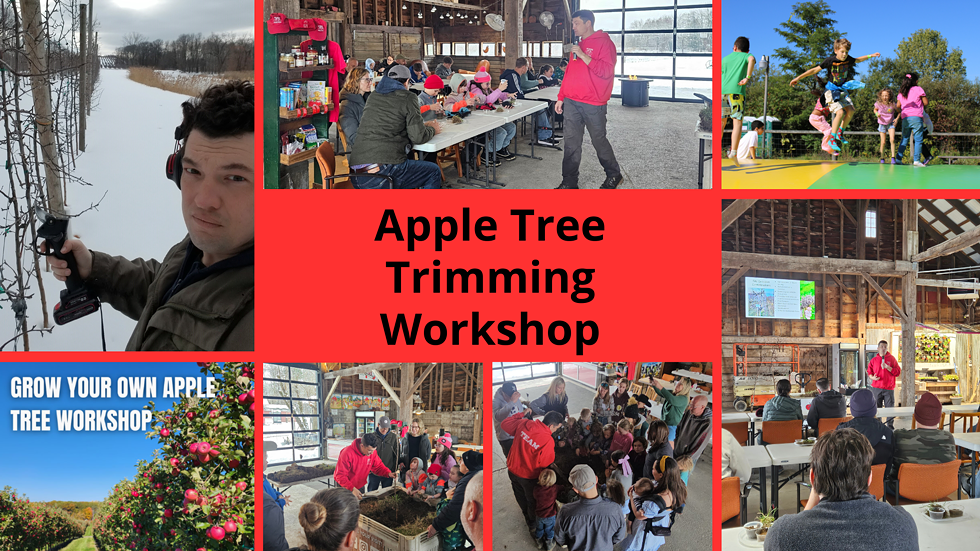 Apple Tree Trimming Workshop @ Hurds Family Farm