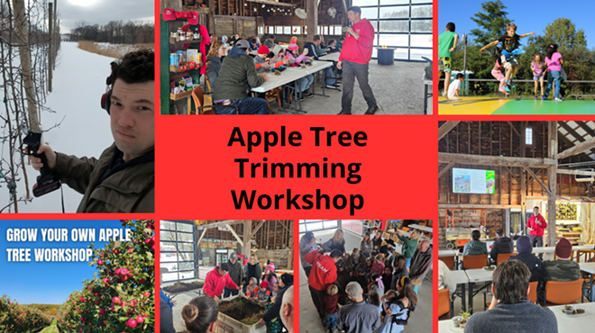 Image: Apple Tree Trimming Workshop at Hurds Family Farm