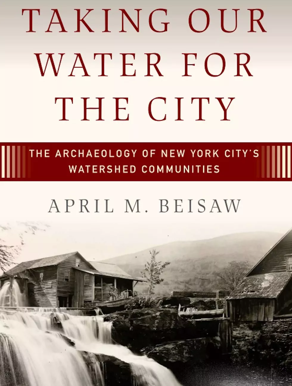 Taking Our Water For the City book by April M. Beisaw