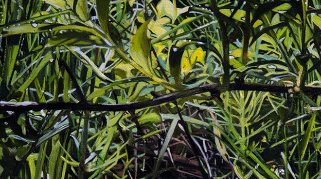 Image: Artist Talk with Ann Wolf at Garrison Art Center