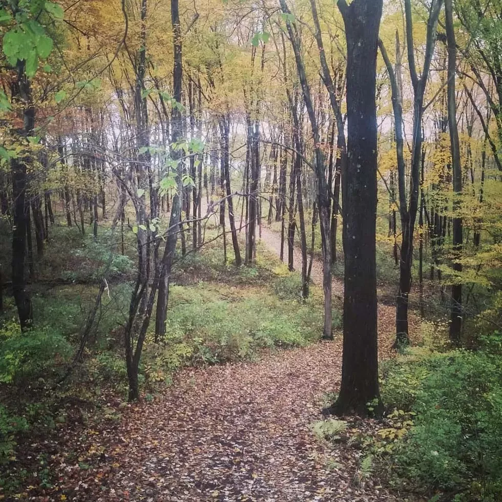 autumn-stroll-event.webp