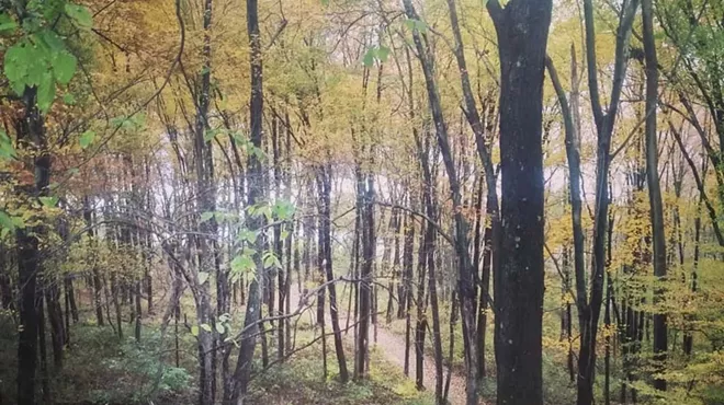Image: Autumn Stroll guided by the Environmental Cooperative & the Preserve at Vassar staff