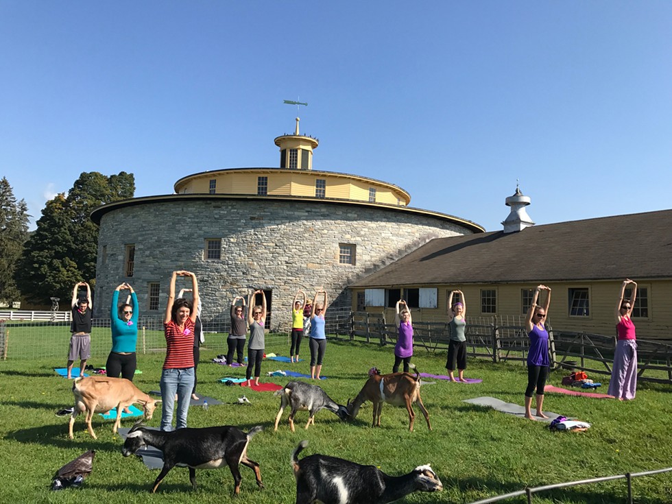 Yoga in the Pasture