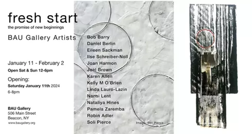 BAU Gallery January Shows