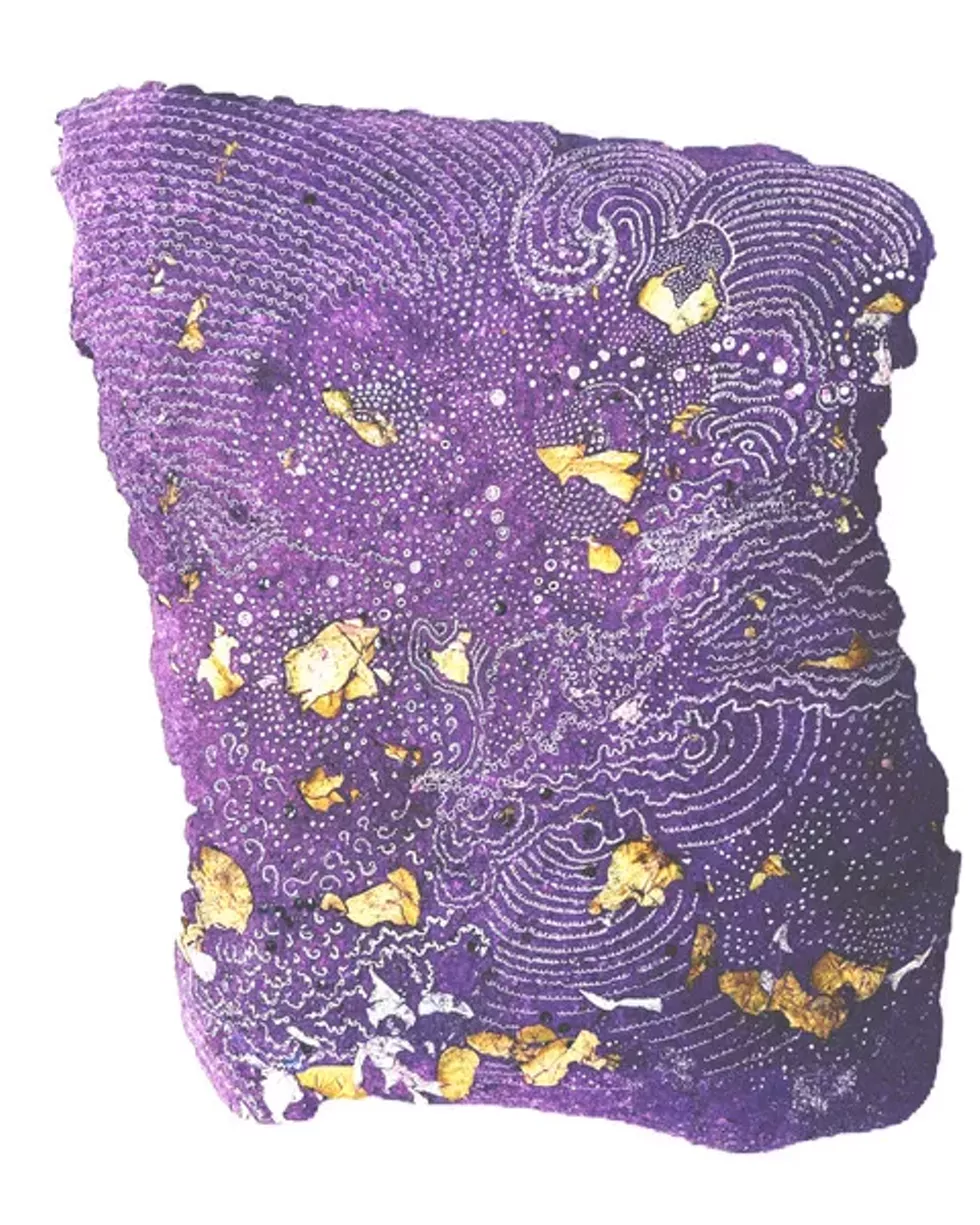 Robin Ellenbogen - Breathing Vest with Roses