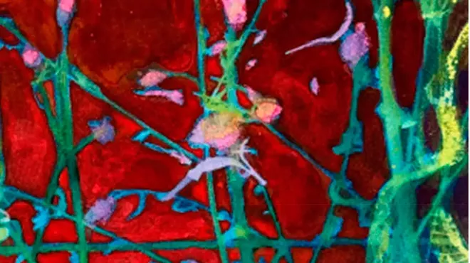 Image: BAU Gallery September Shows