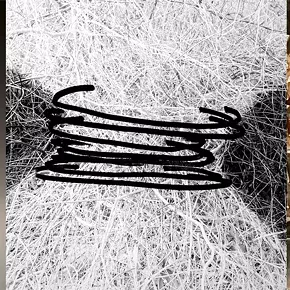 Image: BAU Gallery September Shows