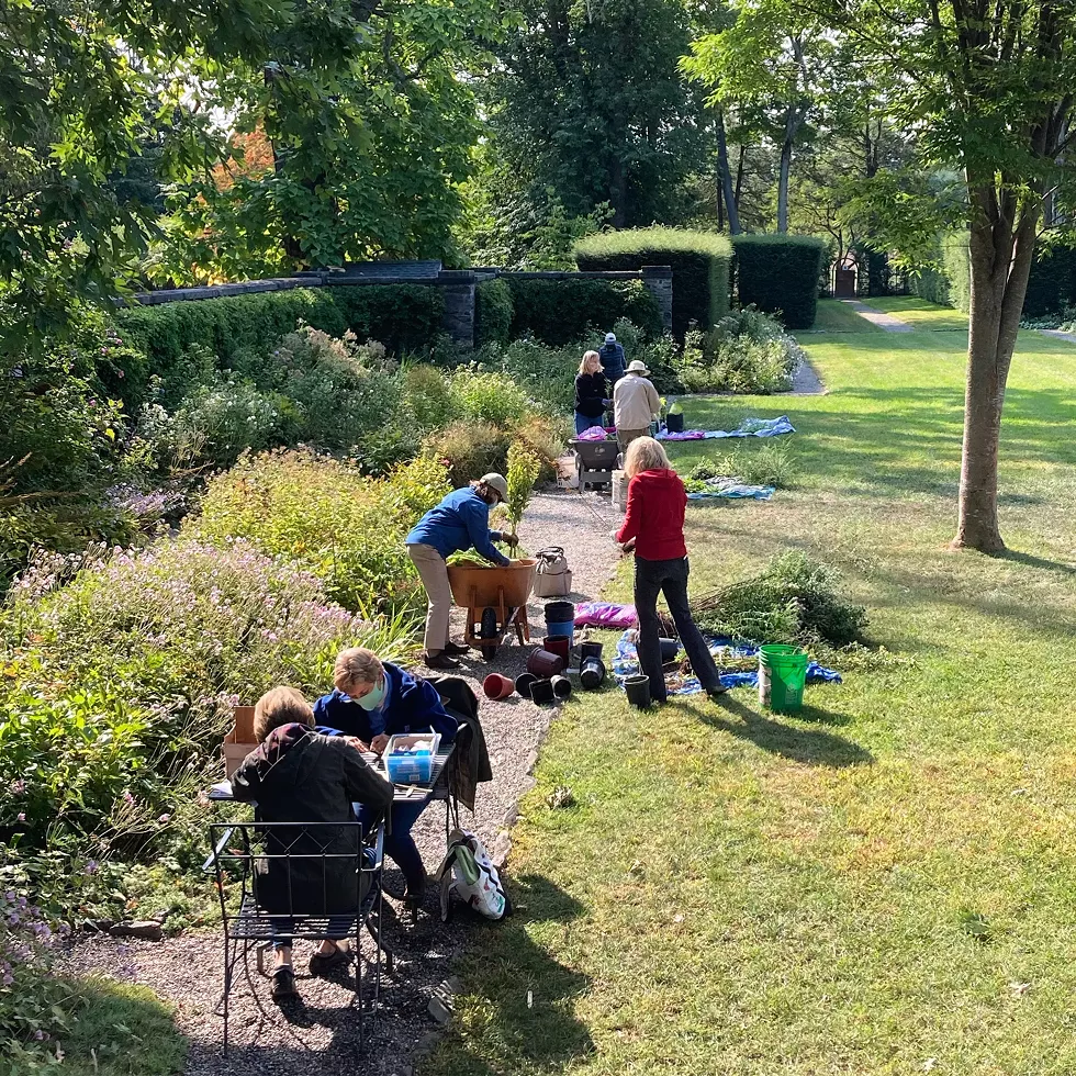 Volunteers helping in the historic garden