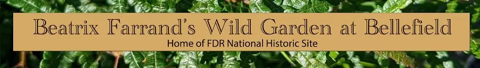 Beatrix Ferrand Garden Association