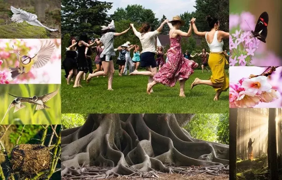 Biodanza