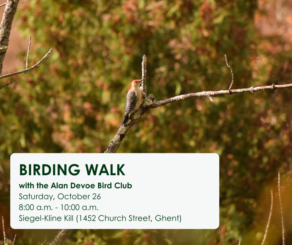 A bird sitting on a branch with the text Birding Walk with the Alan Devoe Bird Club Saturday, October 26 8:00 a.m. to 10:00 a.m. at Siegel-Kline Kill (1452 Church Street, Ghent)
