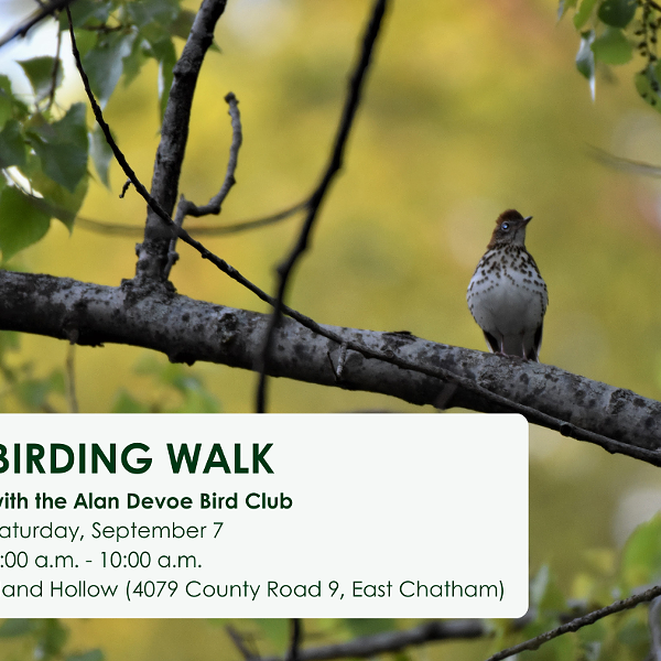 A bird sitting on a tree branch with the text Birding Walk with the Alan Devoe Bird Club Saturday, September 7 8:00 a.m. to 10:00 a.m. at Hand Hollow (4079 County Road 9, East Chatham)