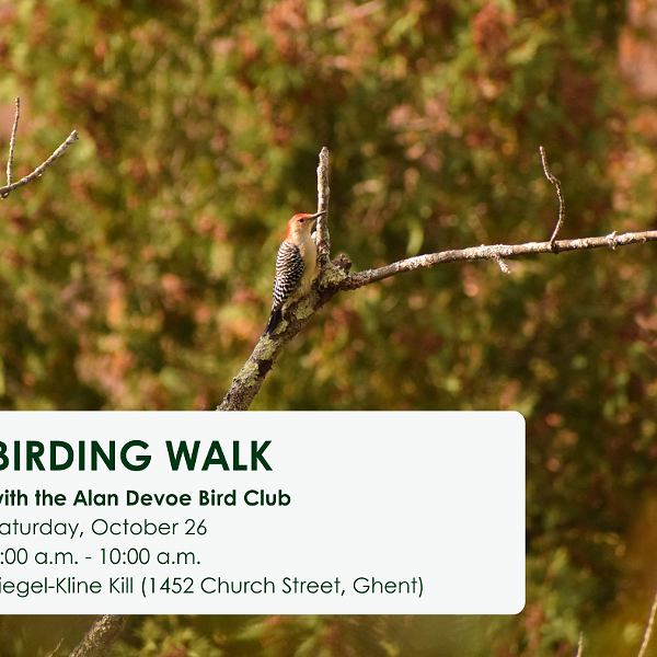 A bird sitting on a branch with the text Birding Walk with the Alan Devoe Bird Club Saturday, October 26 8:00 a.m. to 10:00 a.m. at Siegel-Kline Kill (1452 Church Street, Ghent)