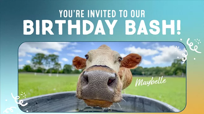 Image: Birthday Bash