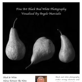 Image: Black And White Silence Between The Notes: A Fine Art Photography Exhibition