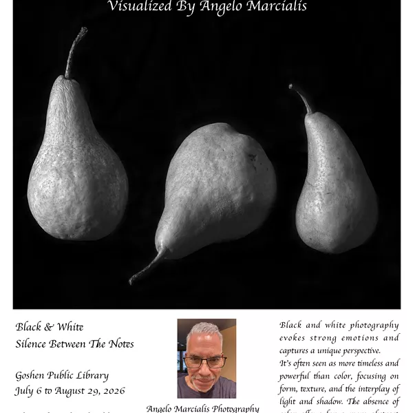 Image: Black And White Silence Between The Notes: A Fine Art Photography Exhibition