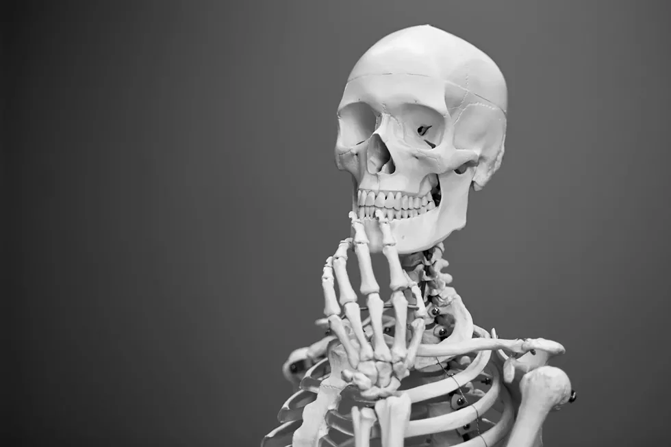 bone_health.webp
