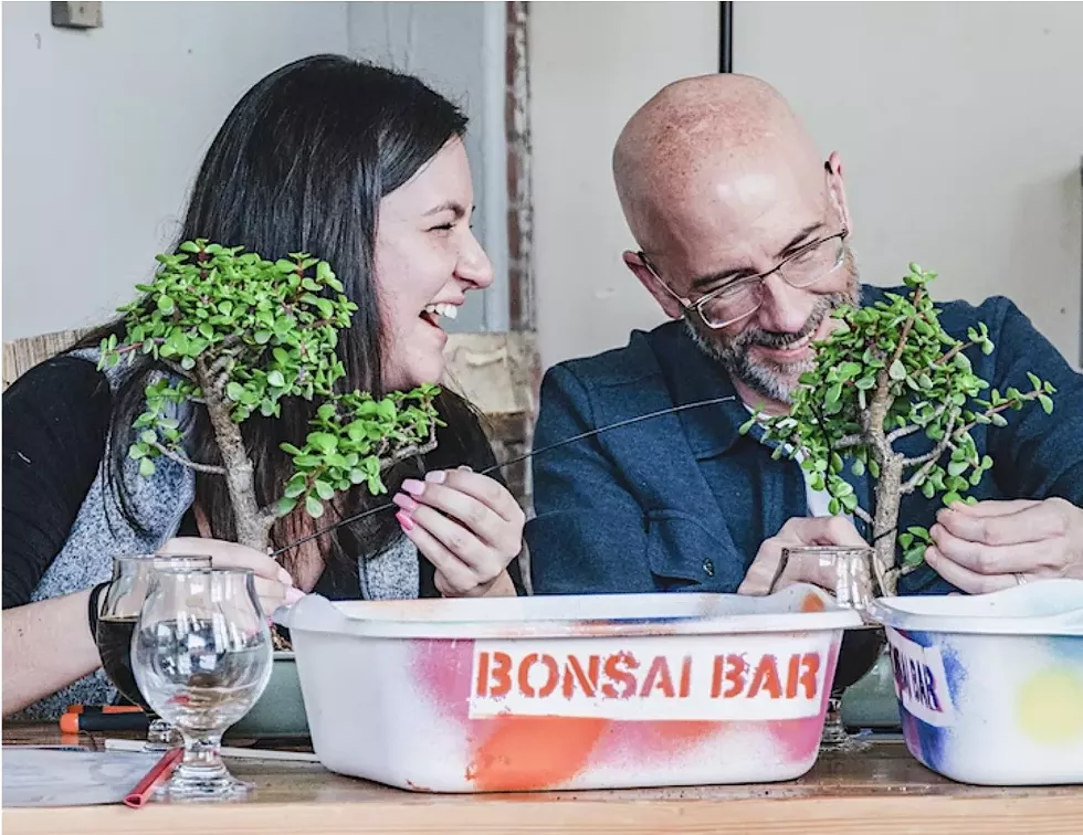 Bonsai Bar!
