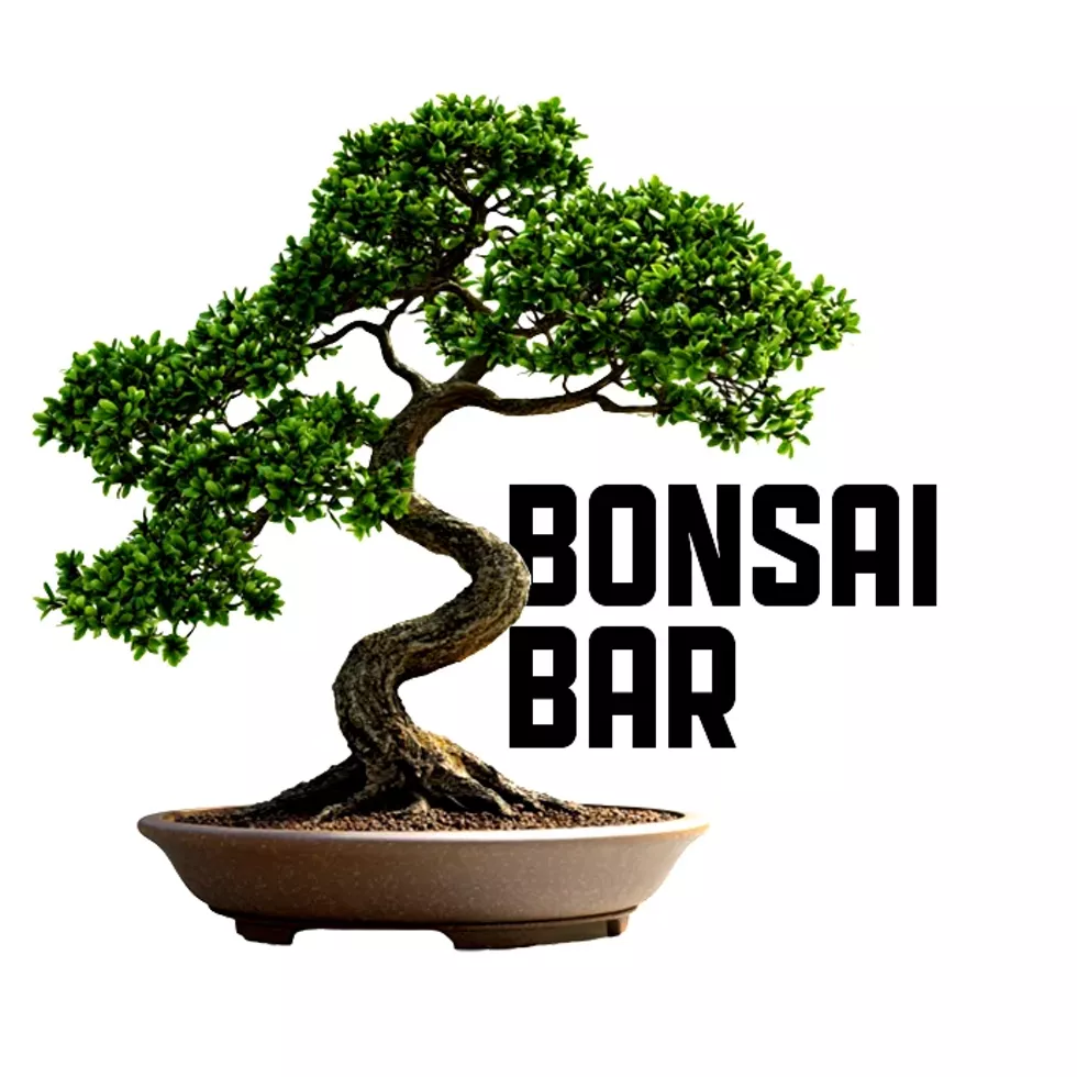 bonsai_1752500566610.webp