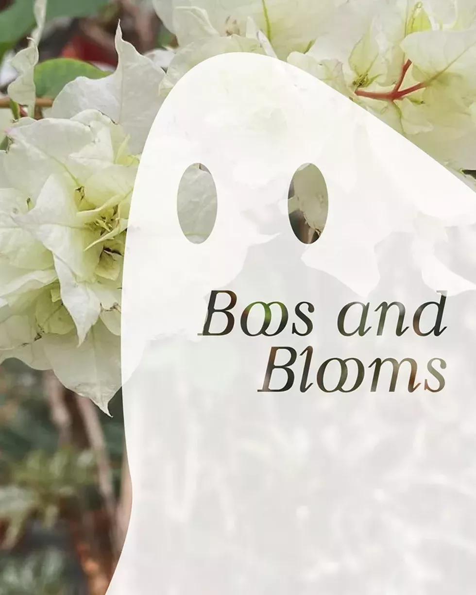 boos_and_blooms.webp