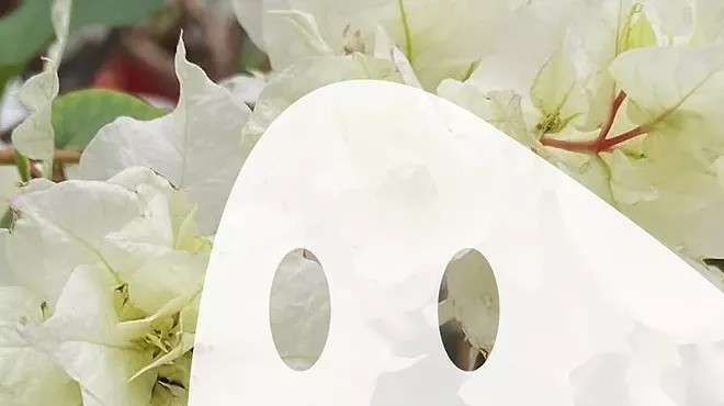 Image: Boos and Blooms at the Olmsted Greenhouse