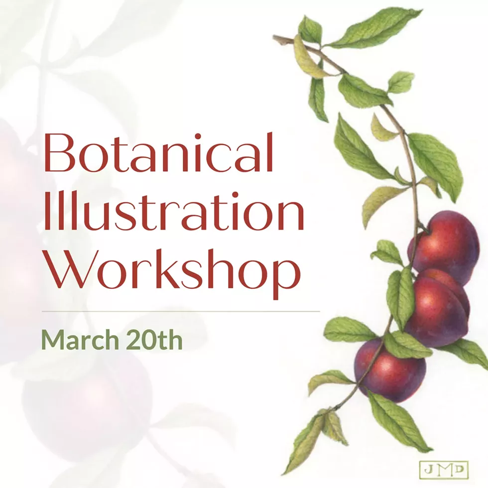 Botanical Illustration Workshop @HPAC