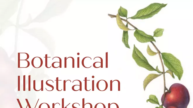 Image: Botanical Illustration Workshop