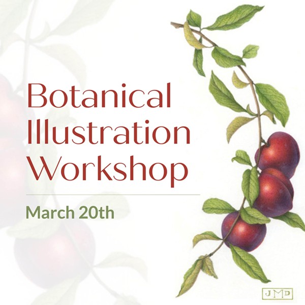 Botanical Illustration Workshop