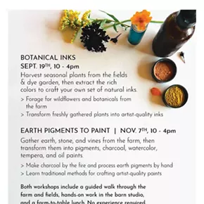 Image: Botanical Inks Workshop