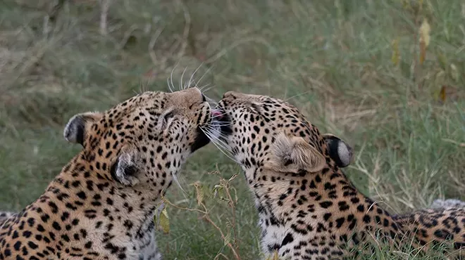 Image: "Botswana and Namibia 2023": Photographs by John Lipkowitz