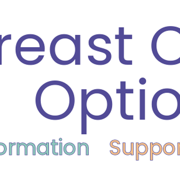 Breast Cancer Options Support Group