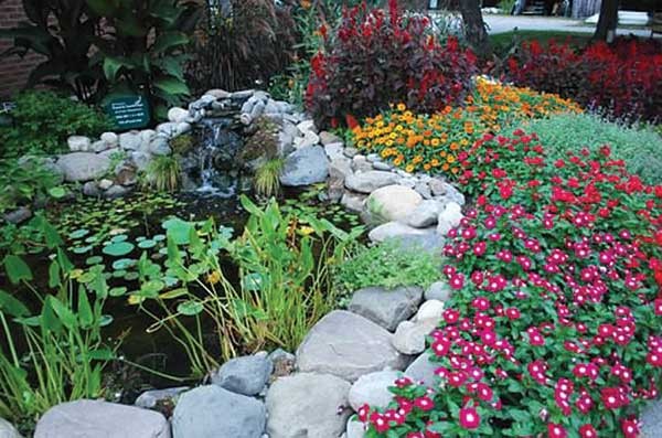 Calming water feature and energizing annual border.