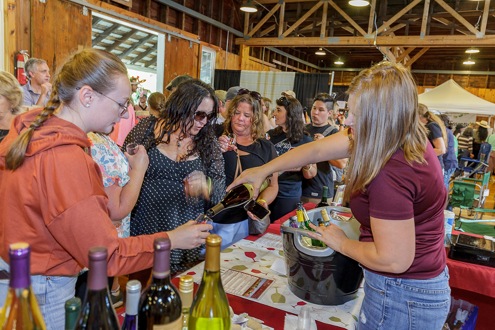 Tasting Frenzy