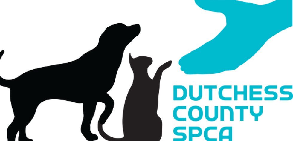 Dutchess County SPCA logo