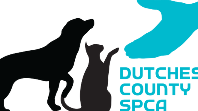 Caring for Community Cats with Dutchess County SPCA