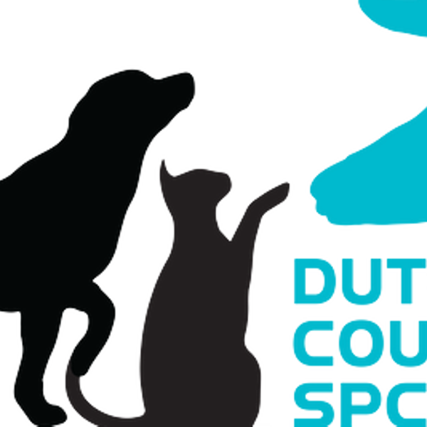 Caring for Community Cats with Dutchess County SPCA