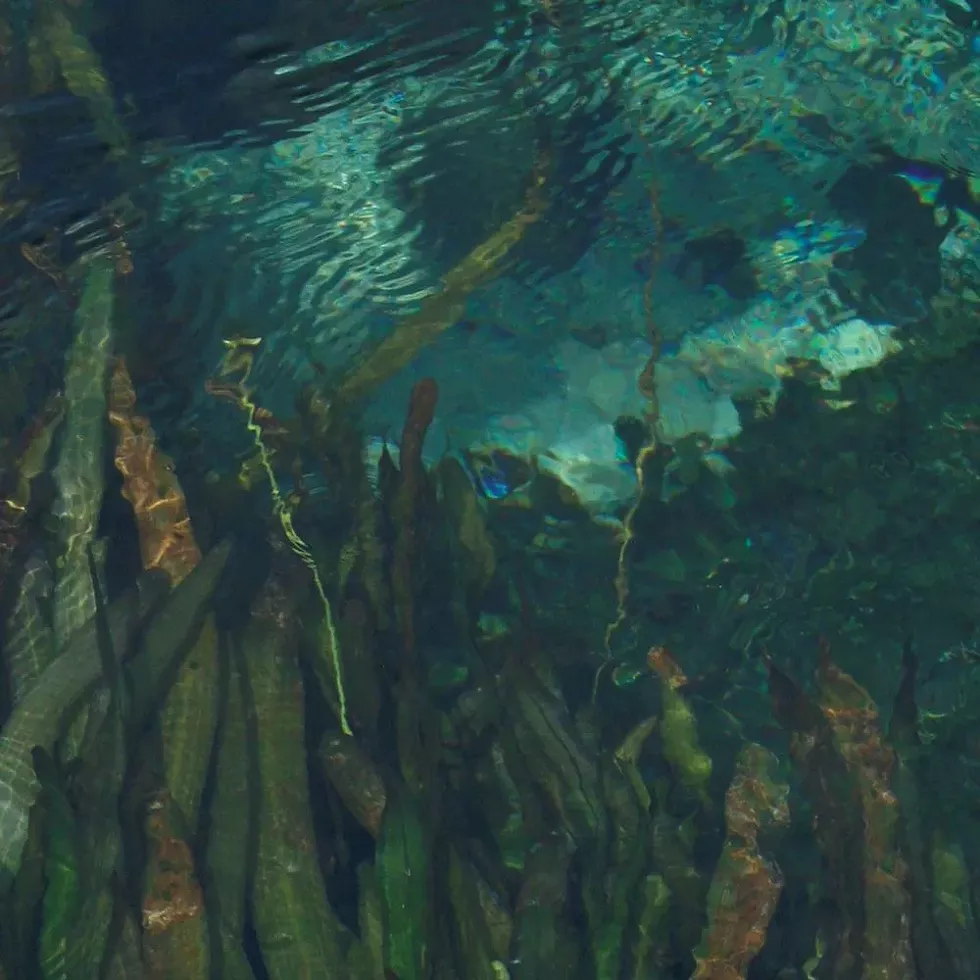 crosscontemporaryartprojects-carol-nne-whitefeather-ee-wai-earth-water-01-2016.webp