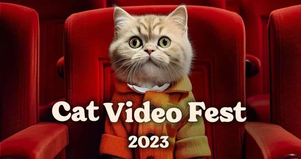 catvideofest.webp