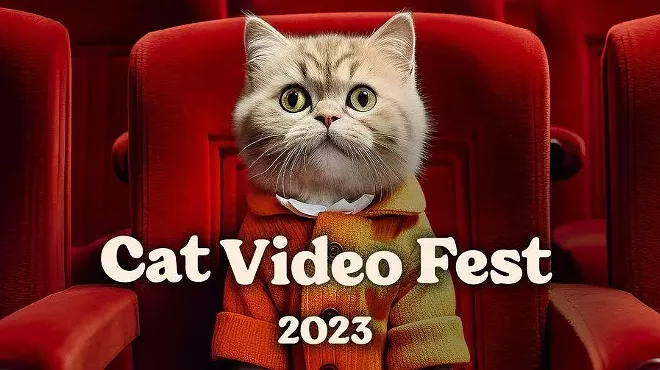 Image: Cat Video Fest 2023