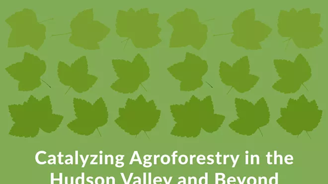 Image: Catalyzing Agroforestry in the Hudson Valley and Beyond